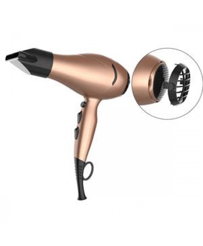 Ryaca OEM ODM Professional DC Motor 2000W Medium A Hair Dryer Profesional Hair Dryer
