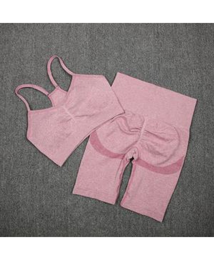 2 Piece Gym Wear Padded bra top biker shorts suits Pink athletic fitness clothing Yoga Set